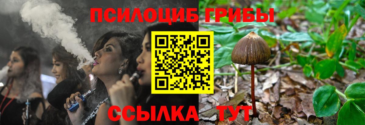 Псилоцибиновые грибы ЛСД  Вход с VPN  Вязники 